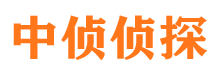 江城捉小三公司